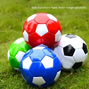 Futbol Topu 15501