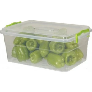 Family Box 11 Lt.  (Saklama Kabı) 2146