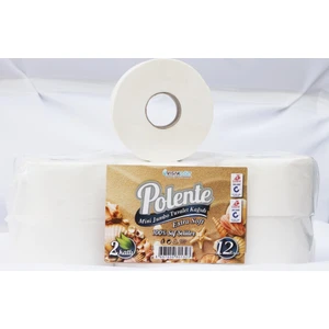 Mini Jumbo Tuvalet Kağıdı 12'li (4 kg - 100 mt) Koli