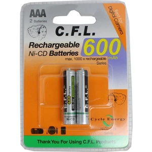 Şarjlı 600 mAh AAA İnce Kalem pil