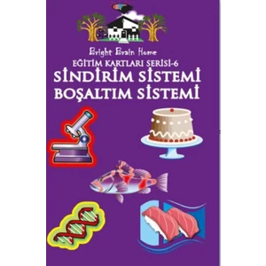 Eğitim Kartları Serisi:6 Sindirim Sistemi-Boşaltım Sistemi
