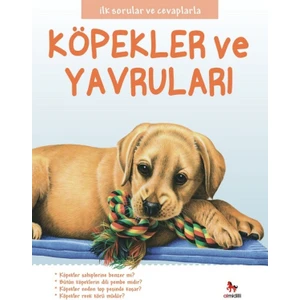 İlk Sorular Ve Cevaplarla :Köpekler Ve Yavruları