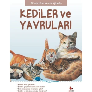 İlk Sorular Ve Cevaplarla :Kediler Ve Yavruları