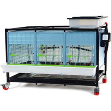 Mutlu Tavukculuk Civciv Buyutme Kafesi 40 Cm Maxi Fiyati Mutlu Tavukculuk Civciv Buyutme Kafesi 40 Cm Maxi Fiyati