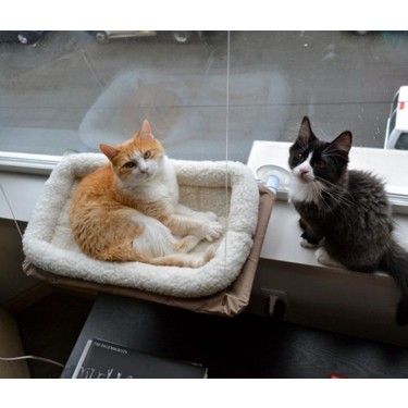 Pratik Sunny Seat Cama Asilan Kedi Yatagi Fiyati