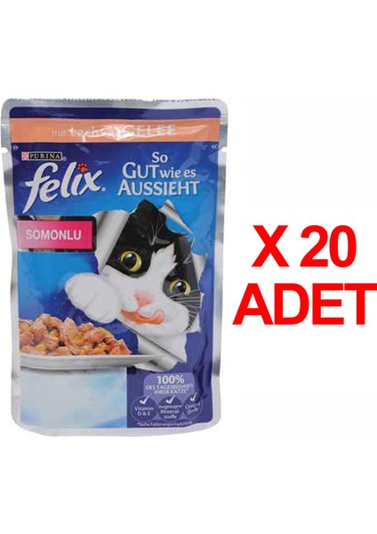 Somonlu Kedi Pouch Konserve Kedi Maması 100 Gr X 20 Adet