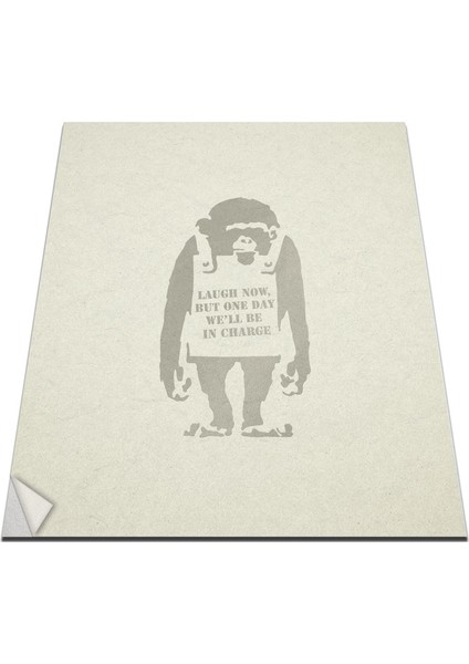 W-109 Maymun Duvar Sticker