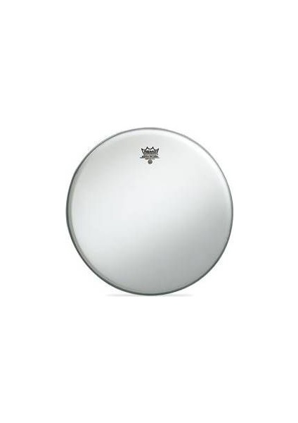BA-0116-00- Ambassador 16'' Tom Derisi