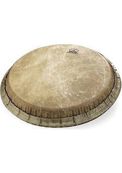 11.75'' Conga Derisi