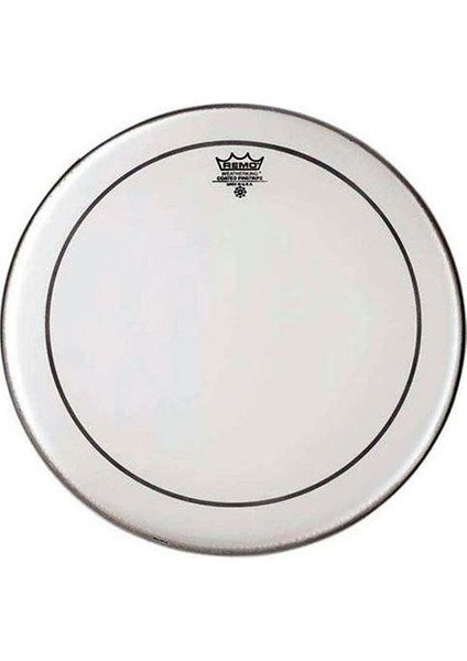 PS-0320-00 Batter Pinstripe Clear 20 Inch Kick Derisi