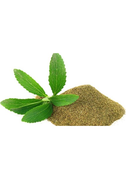 Doğal Tatlandırıcı Stevia Şeker Otu Tohumu 10 Tohum