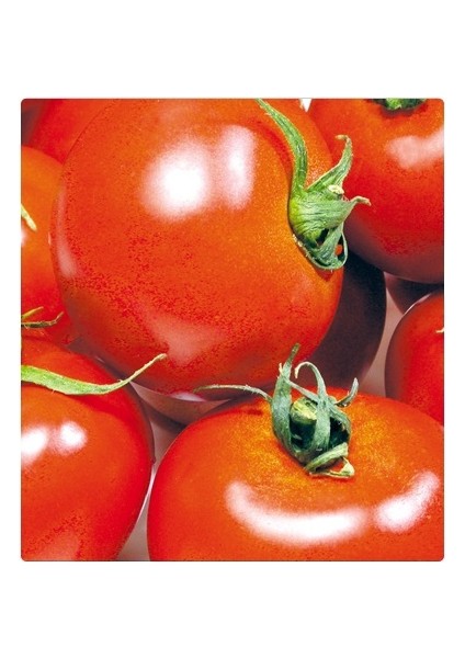 Etli Lezzetli Domates Tohumu 10+ Tohum
