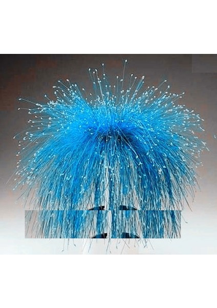 Işık Mavi Fiber Optik Bonsai Tohumu 10+ Tohum
