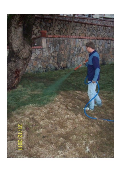 Çim Boyası Green Grass - Sıvı Çim Boyası - 1,2 kg modelleri