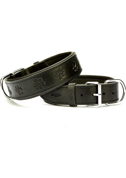 Pati Desenli Köpek Boyun Tasması (Sbt-3036M)