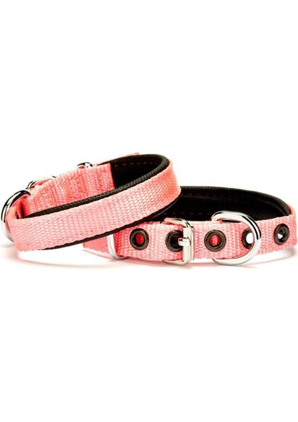 Comfort Sade Köpek Boyun Tasması (Dsbt-2510M)