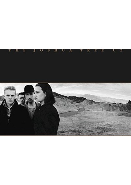 - The Joshua Tree 2LP