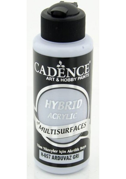 H057 Arduvaz Gri - Multisurfaces 120ML