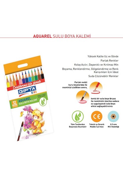 Aquarel Sulu Kuru Boya Kalemi 12 Renk