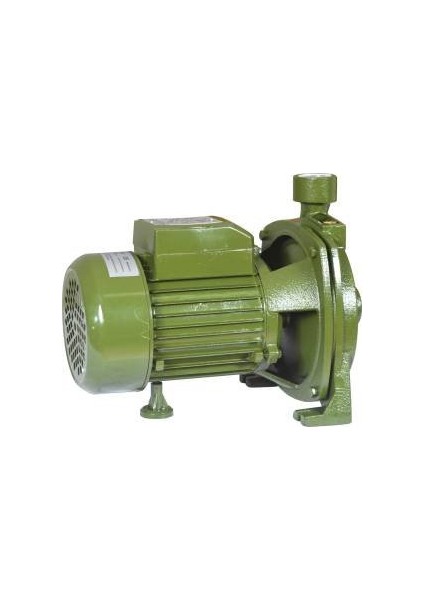 CPM-158 1.0 HP Bir Parmak Su Motoru