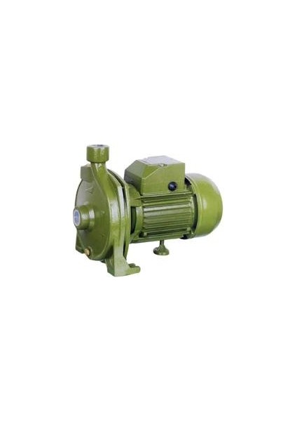 CPM-158 1.0 HP Bir Parmak Su Motoru