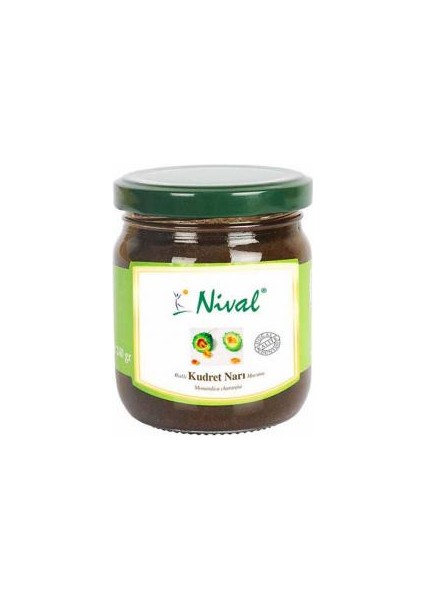 Kudret Narı Macunu 240 Gr.