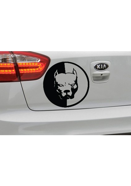 Pitbull - Oto Sticker modelleri