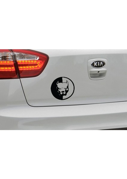 Pitbull - Oto Sticker indirimleri
