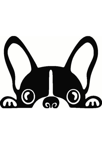 Bagajdan Bakan Köpek - Oto Sticker