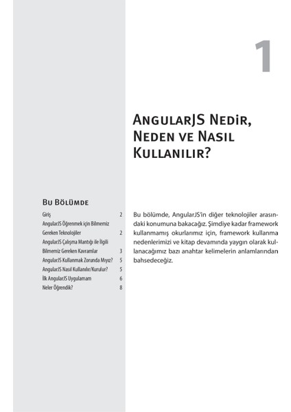 Dikeyeksen Yayın Dağıtım Angularjs - Burak Tokak