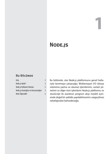 Node.Js - Özcan Kasal