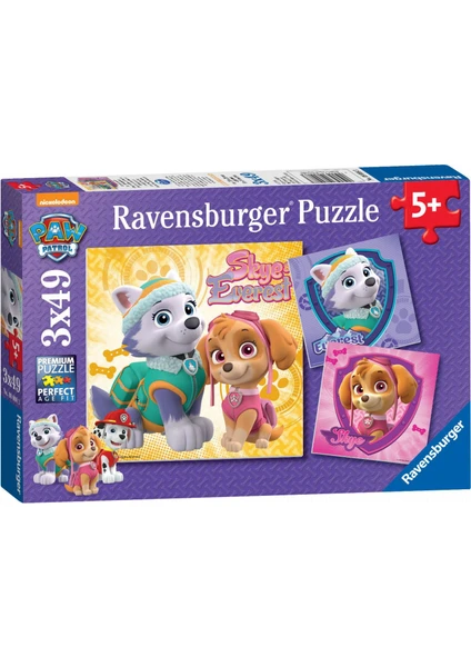 3 x 49 Parça Paw Patrol Skye Puzzle