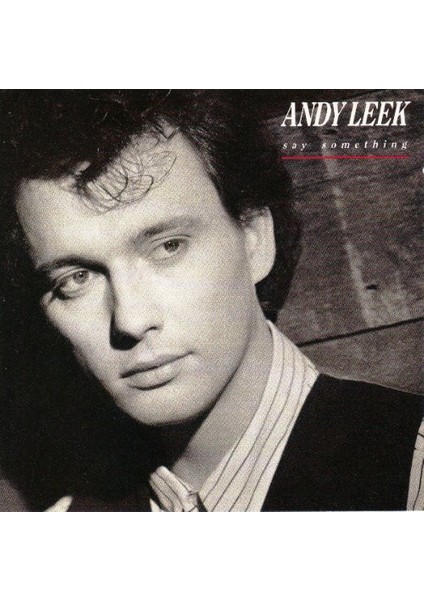Andy Leek - Say Something CD