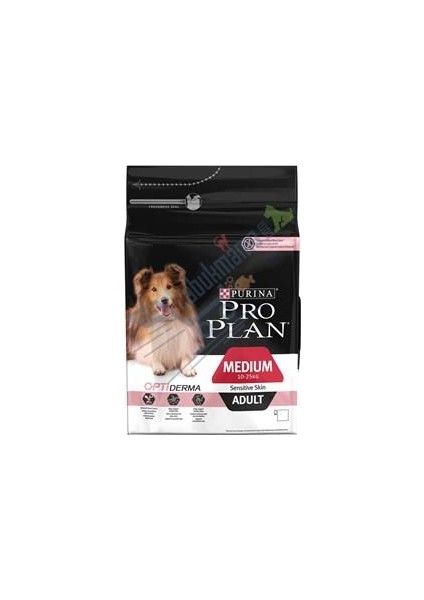 Orta Irk Hassas Deriye Sahip Yetişkin Köpekler İçin Somonlu Köpek Maması - 3 Kg