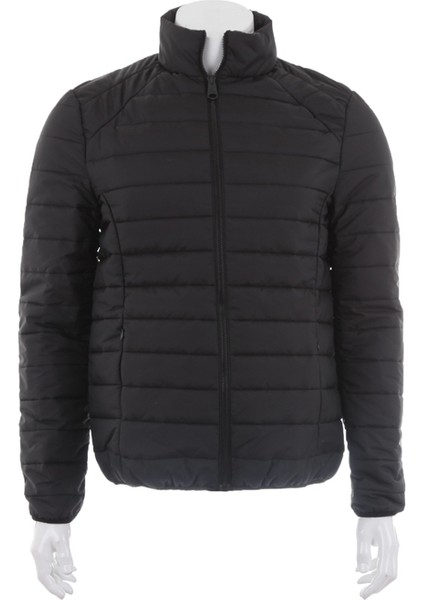 Carter Jacket Pad Erkek Mont