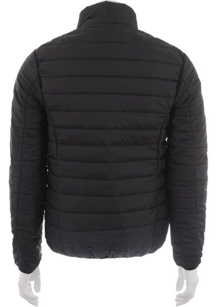 Carter Jacket Pad Erkek Mont