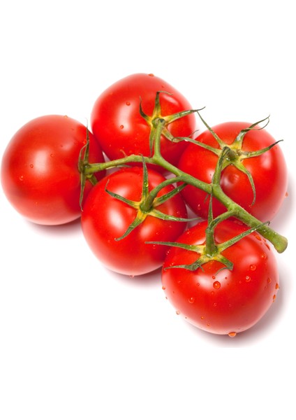 Domates Salkım (1 kg)