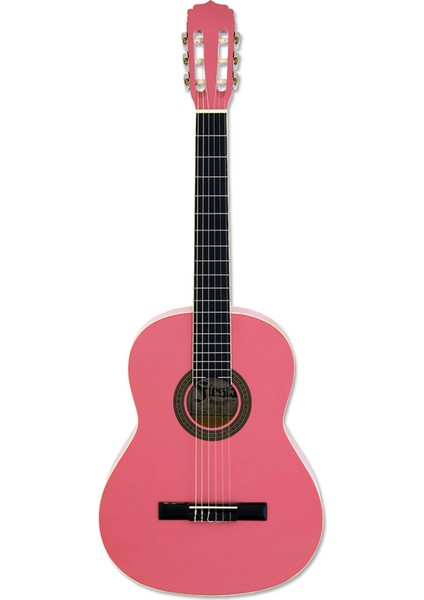 Fiesta FST200PK Klasik Gitar