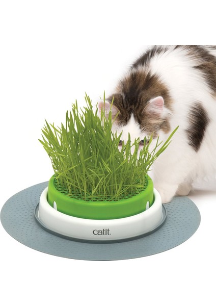 Catıt Senses 2.0 Grass Planter