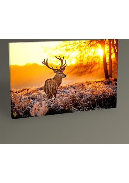 - Geyik Tablo 45X30