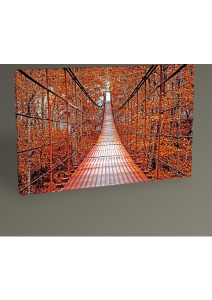 - Asma Köprü Tablo 150x100