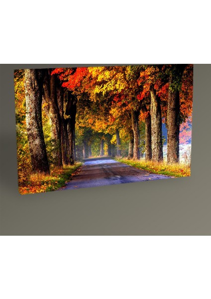 - Autumn Road Tablo 60X40