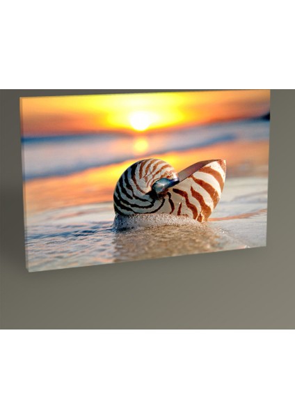 - Dalgalar Tablo 75X50