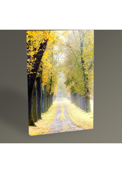 - Ağaçlı Yol II Tablo 75X50