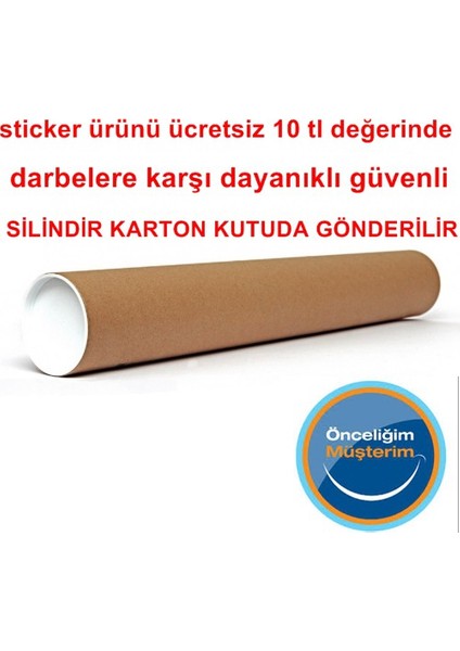 Çocuk Odası Duvar Sticker Fil Zürafa Maymun Aslan Orman Doğa Büyük Görsel 107X80 Cm Dir