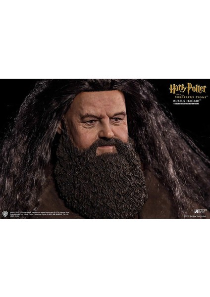 Harry Potter Quiddich 1/6 Action Figure