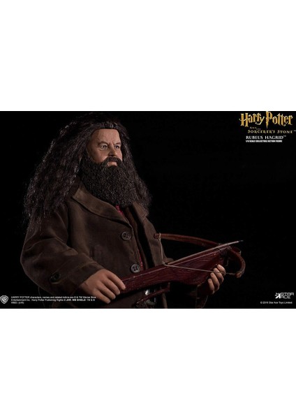 Harry Potter Quiddich 1/6 Action Figure