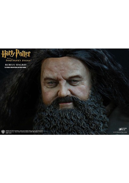 Harry Potter Quiddich 1/6 Action Figure