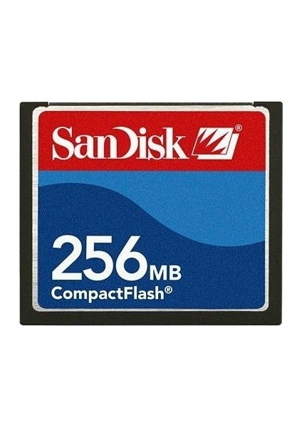 Sandisk Cf 256 Mb Compact Flash Kart