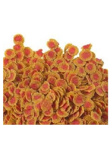 Pro Colour 10 Lt Kova 2100Gr
